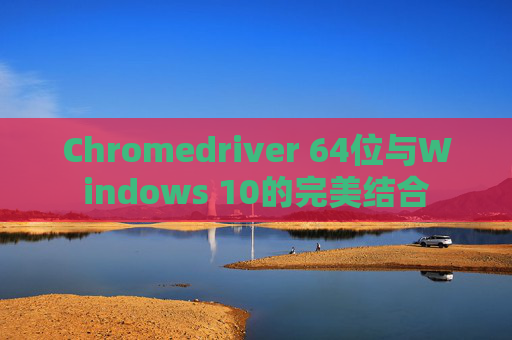 Chromedriver 64位与Windows 10的完美结合
